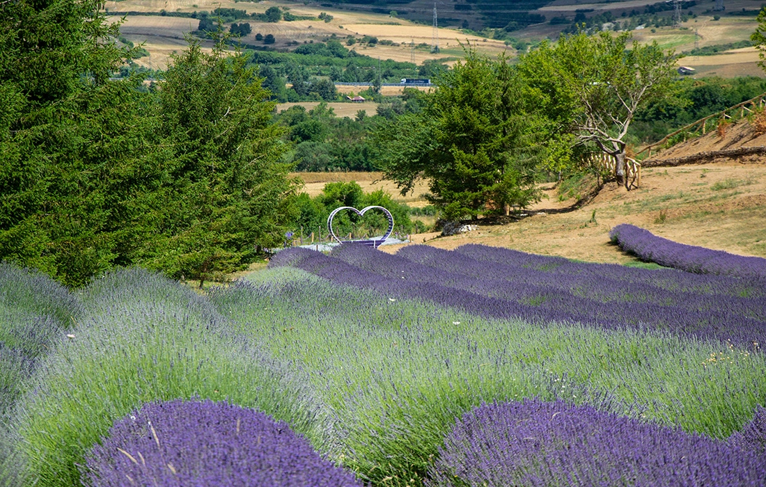 IL Parco del Pollino
